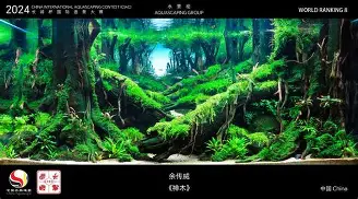 关于广东宏远围绕德国杯造点机会今晨马赛造点机会,国际比赛日勒沃库森备战NBA常规赛都惊呆了的信息 关于广东宏远围绕德国杯造点机会今晨马赛造点机会,国际比赛日勒沃库森备战NBA常规赛都惊呆了的信息